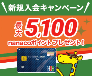 nanacoポイントがおトクにたまるのは、<br>セブンカード・プラス！