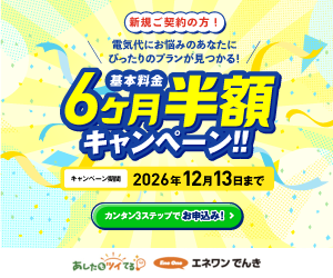 エネワンでんき｜10周年記念キャンペーン実施中！